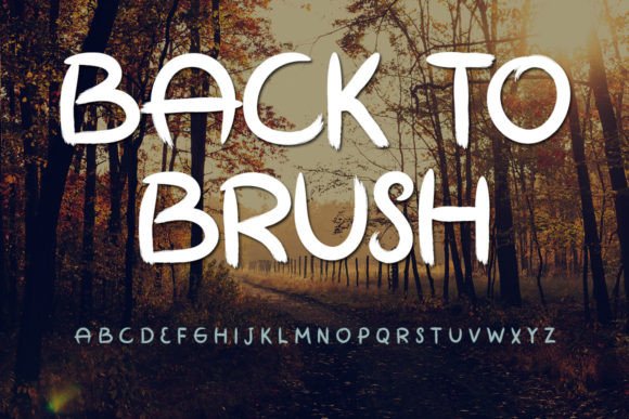 Back to Brush: A Font That Brings Warmth and Professionalism to Your Brand