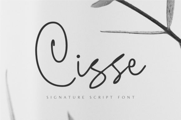 Cisse Script Font for Elegant Handwritten Design