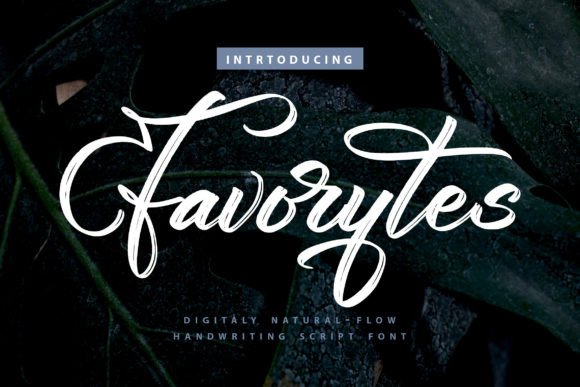 Favorytes: A Script Font for Creative Crafters and Designers