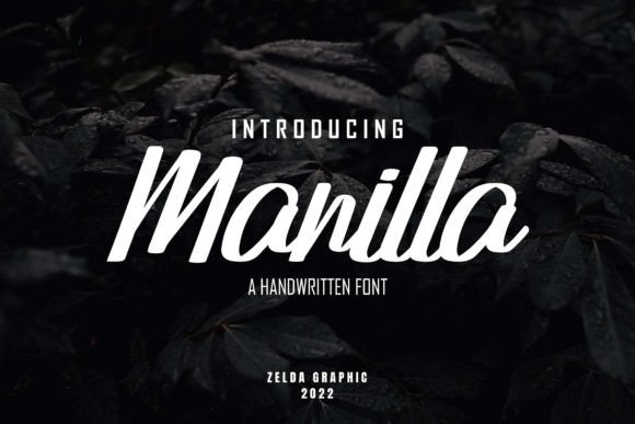 Manilla: A Bold Handwritten Script Font for Modern Web Design