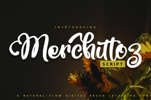Merchittoz: A Swirly Handwritten Script Font for Editorial Design