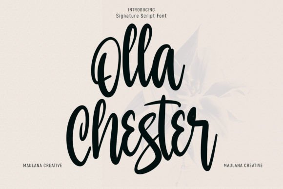Olla Chester Script Handwritten Font for Elegant Makers