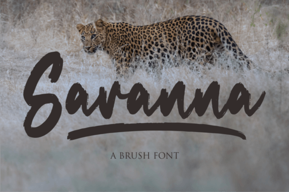 Savanna Brush Script Font for Small Business Branding