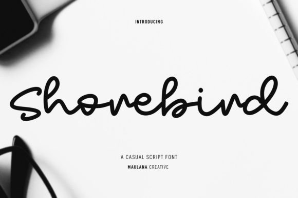 Shorebird: A Script Font for Creative Campaigns and Brand Identity