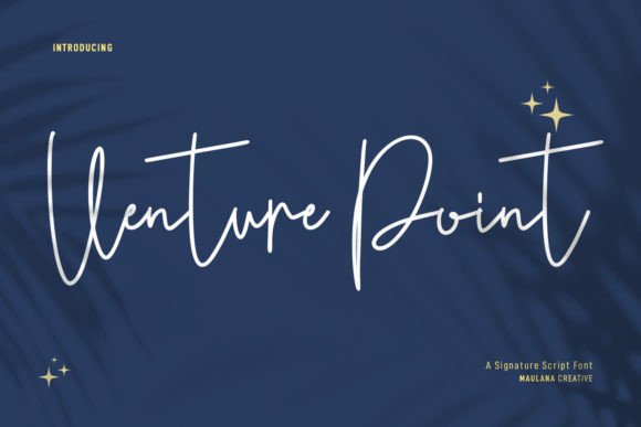 Venture Point: A Romantic Script Handwritten Font for Campaign Headlines