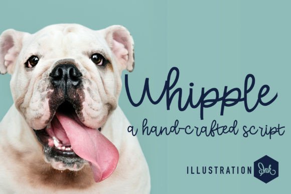 Whipple: The Font That Elevates Your Brand’s Visual Story